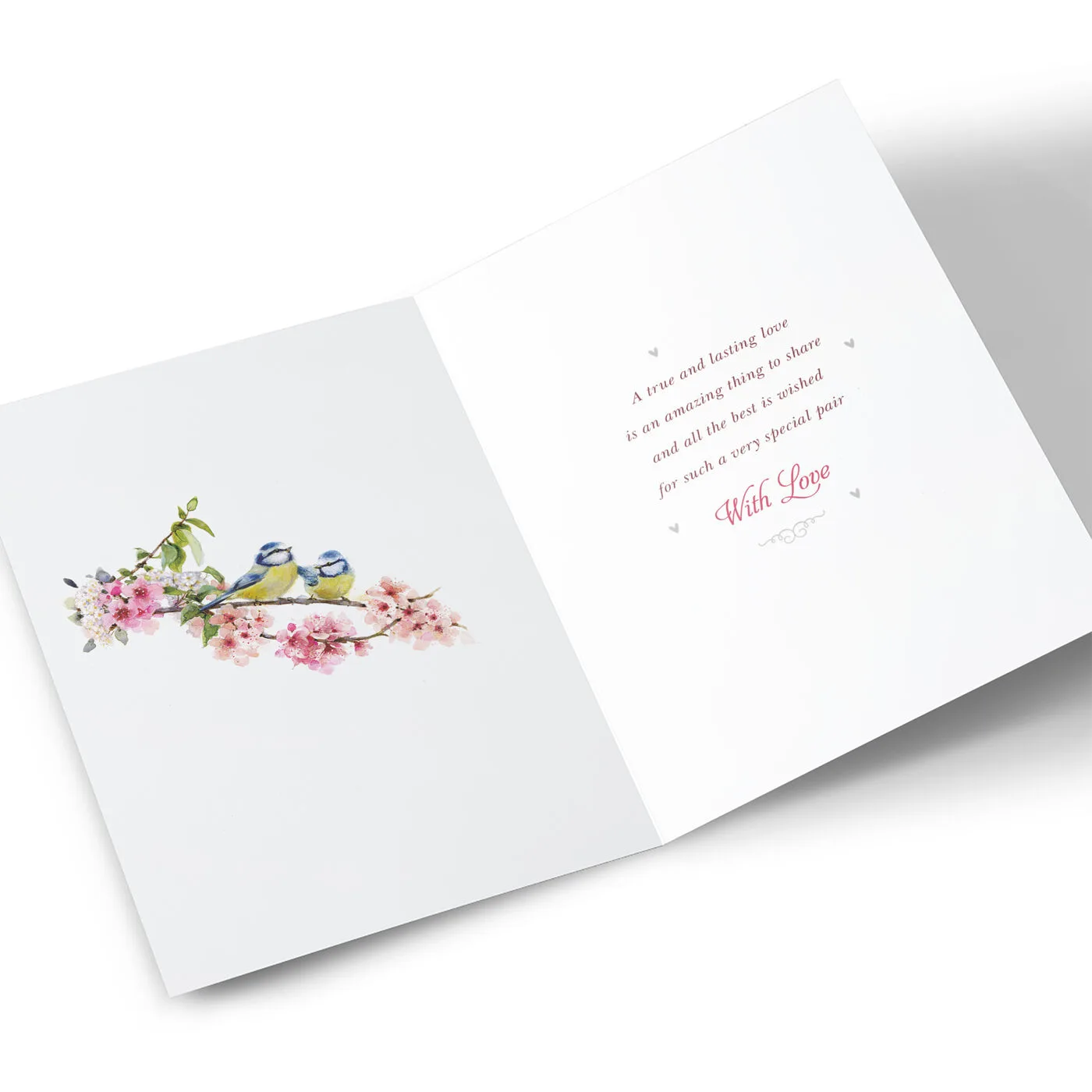 Anniversary Card – Blue Tits on Blossom, Special Couple - Image 2