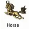Horse charm