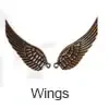 Wings charm